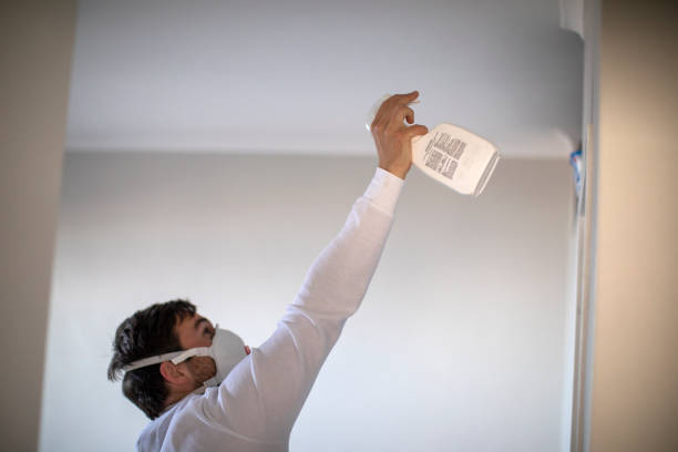 Best Mold Remediation  in Emerald Lake Hills, CA