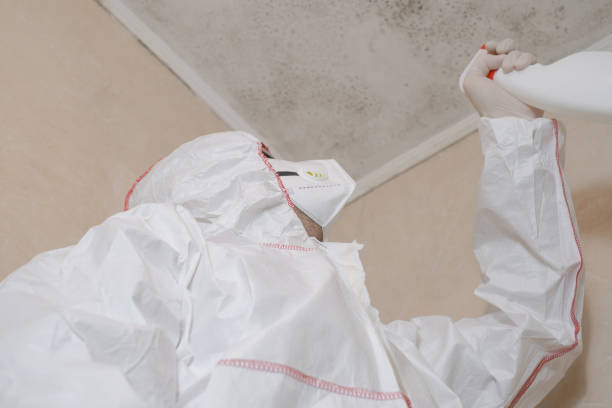 Best Emergency Mold Removal  in Emerald Lake Hills, CA