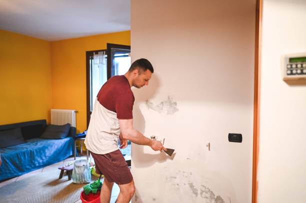 Best Water Damage Restoration  in Emerald Lake Hills, CA